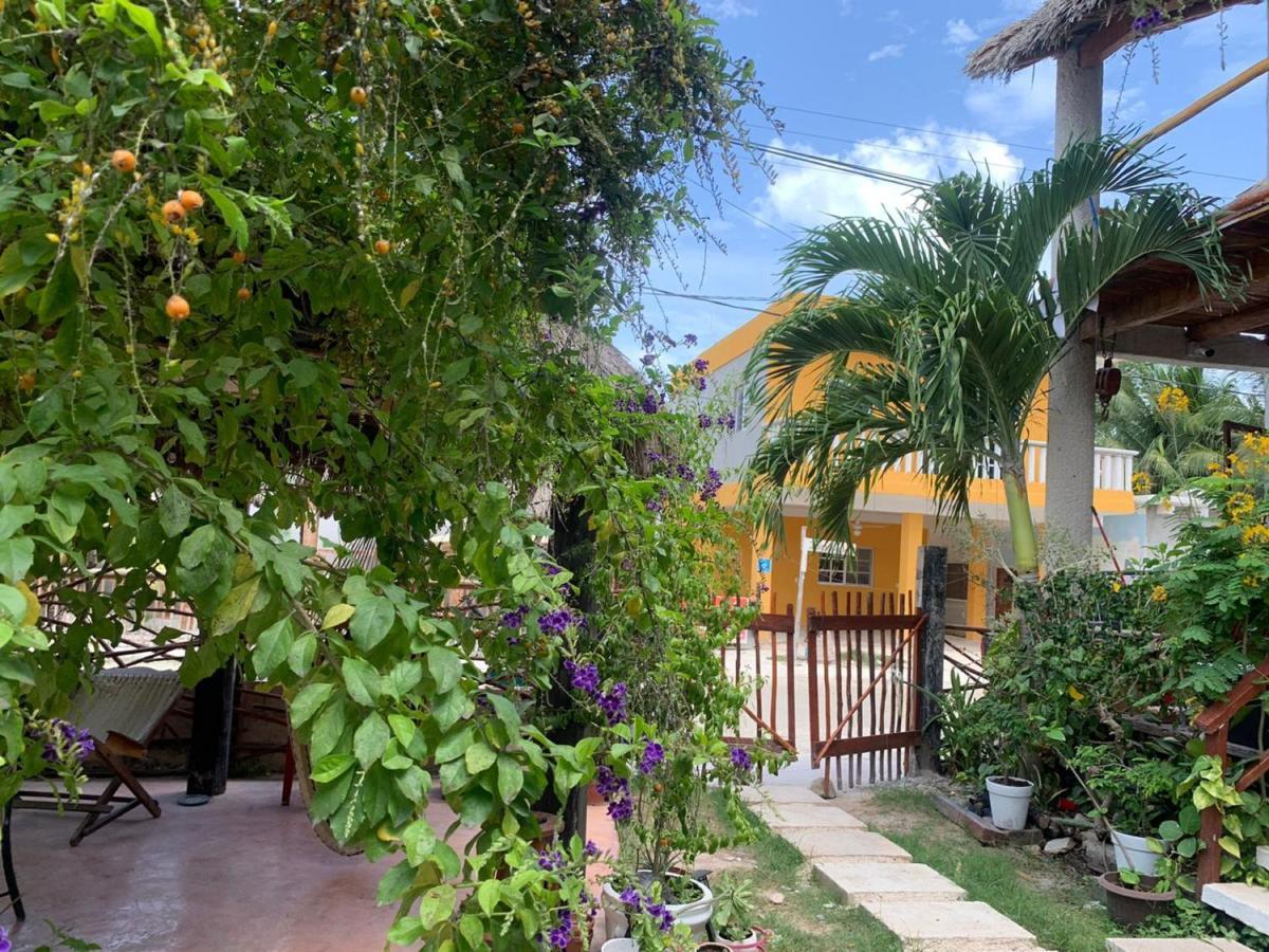 Don Panchon Y Maruxa Hotel Isla Holbox Bagian luar foto