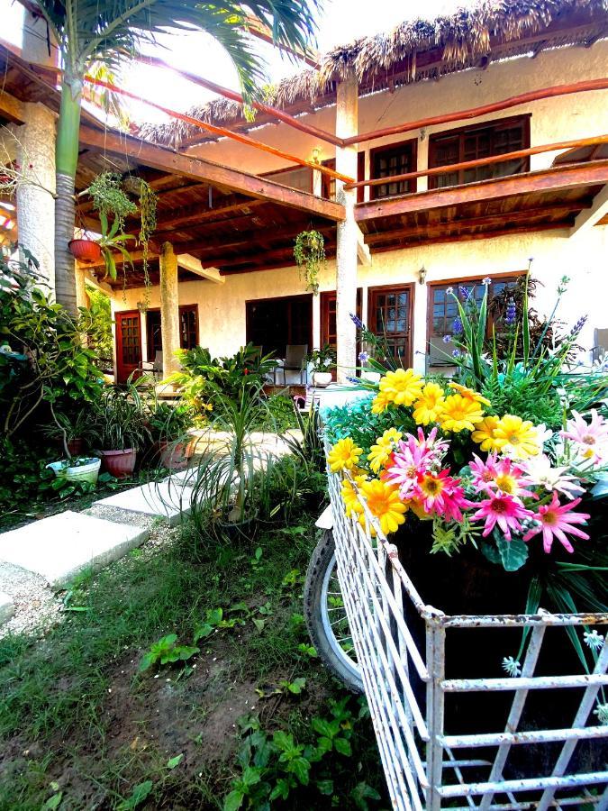 Don Panchon Y Maruxa Hotel Isla Holbox Bagian luar foto