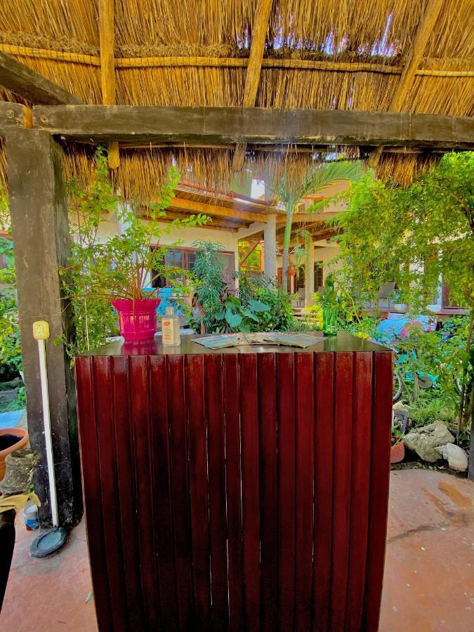 Don Panchon Y Maruxa Hotel Isla Holbox Bagian luar foto